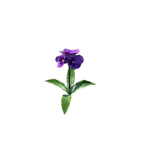 flower plant7